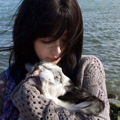 超级骗局海报